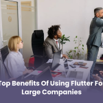 Top Benefits of Using Flutter for Large Companies