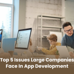 Top 5 Issues Large Companies Face in App Development