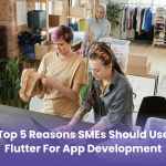 Top 5 Reasons SMEs Should Use Flutter for App Development